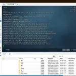 【架設工具】Final+Shell